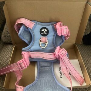 Blue and Pink Dog Harness